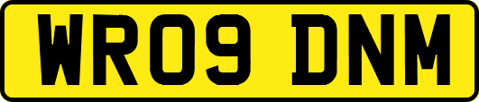 WR09DNM