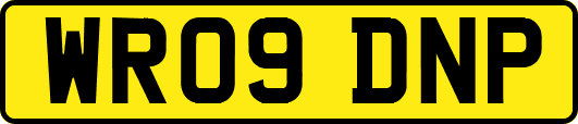 WR09DNP