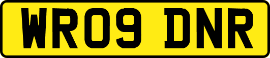 WR09DNR