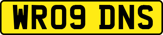 WR09DNS