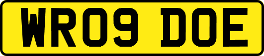 WR09DOE