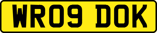 WR09DOK