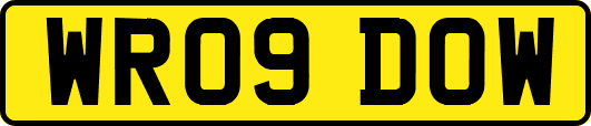 WR09DOW