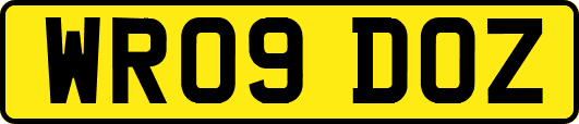 WR09DOZ
