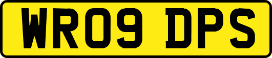WR09DPS