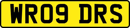 WR09DRS