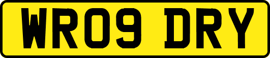 WR09DRY