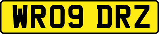 WR09DRZ