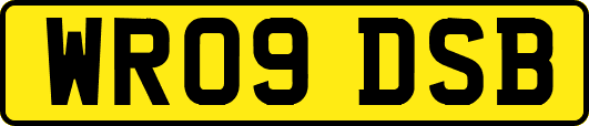 WR09DSB