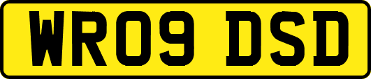 WR09DSD