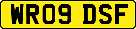 WR09DSF