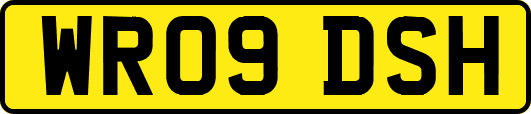 WR09DSH