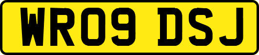 WR09DSJ