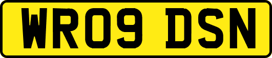 WR09DSN
