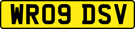 WR09DSV