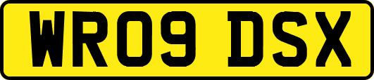 WR09DSX