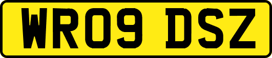WR09DSZ