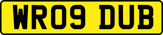 WR09DUB