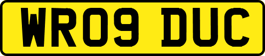 WR09DUC