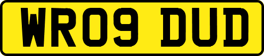 WR09DUD
