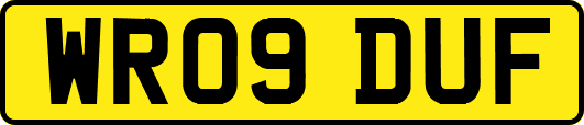 WR09DUF