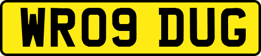 WR09DUG