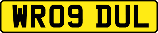 WR09DUL