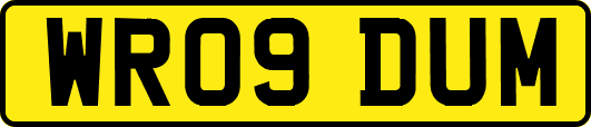 WR09DUM