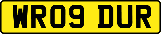 WR09DUR