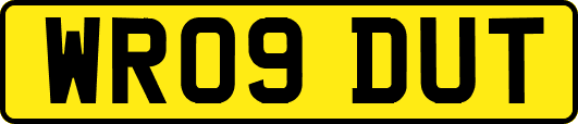 WR09DUT