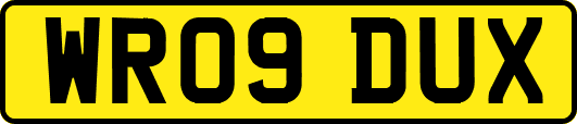 WR09DUX