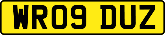 WR09DUZ