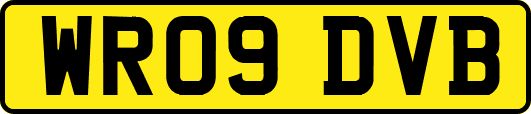 WR09DVB