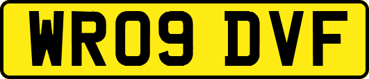 WR09DVF