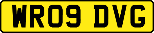 WR09DVG