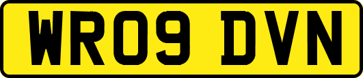 WR09DVN