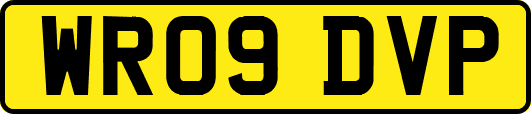 WR09DVP