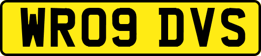 WR09DVS
