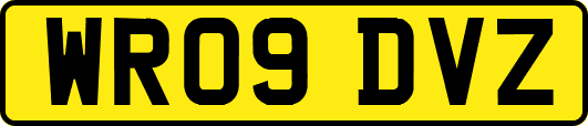 WR09DVZ