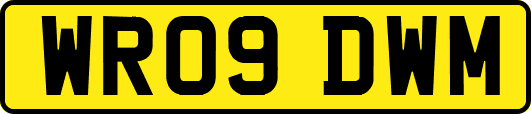 WR09DWM