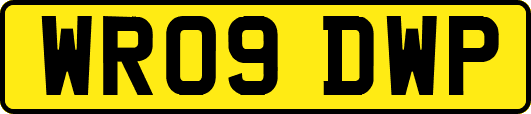 WR09DWP