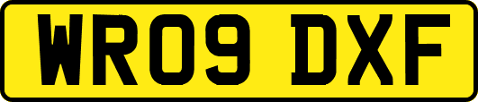 WR09DXF