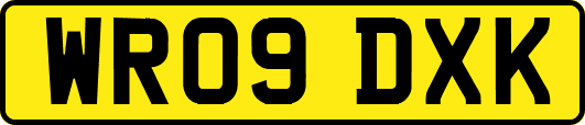 WR09DXK