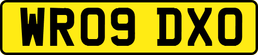WR09DXO