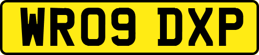 WR09DXP