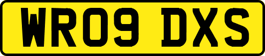 WR09DXS
