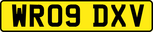 WR09DXV