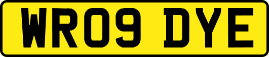 WR09DYE