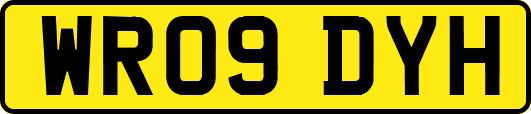WR09DYH