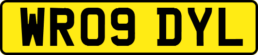 WR09DYL